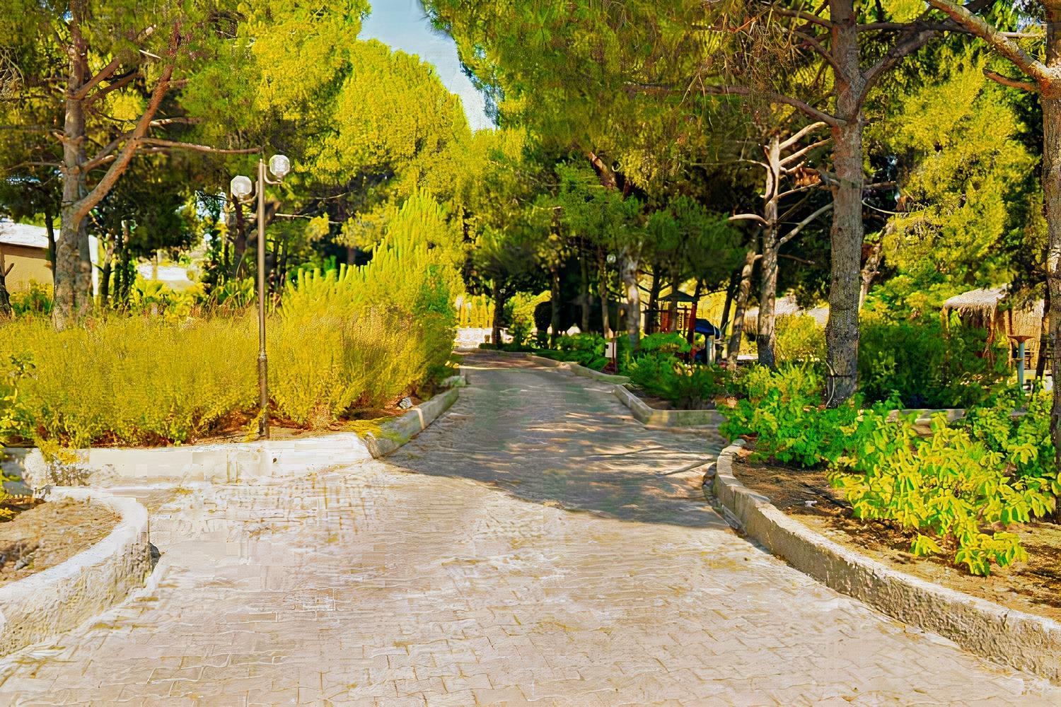 Elitium Thermal Hotel Bozkoy  Kültér fotó
